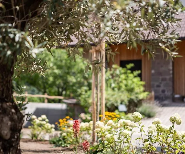 公寓 Torgglbauer 3 *